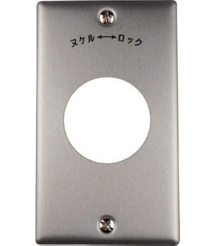 アメリカン電機 引掛形埋込コンセント接地2P30A250V 3320-L6 Amazon.co.jp: アメリカン電機 引掛形 埋込コンセント 接地2P30A250V