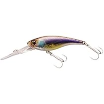 Amazon.co.jp: JACKALL(ジャッカル) ソウルフラット 58SF POLチャート