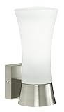 Eglo 88725A Outdoor Wall Light with Opal Frosted Glass, Stainless Steel Finish [並行輸入品]