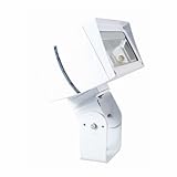 RAB Lighting FFLED39TW/PC Future Flood 39W Cool LED Trunnion, 120V, White [並行輸入品]