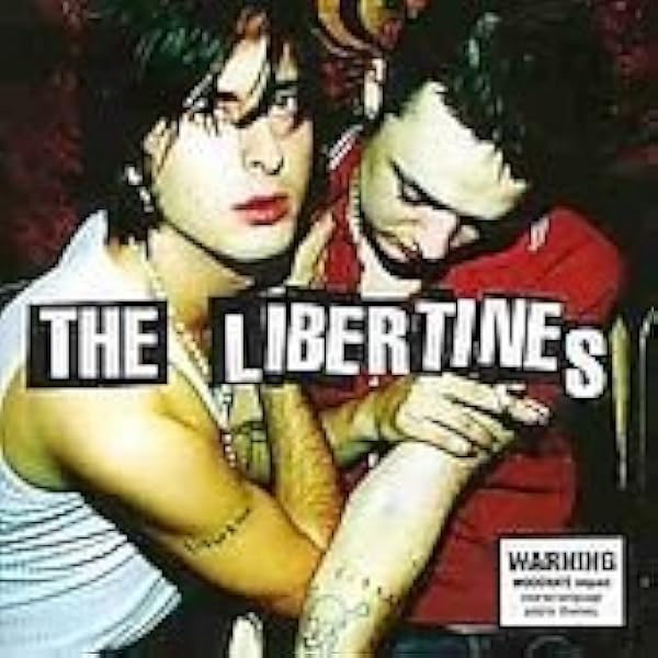 The Libertines レコード　LP UK レコードストアデイ The Libertines Record Lp Uk Store Day | eBay