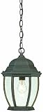 Thomas Lighting SL923363 Covington Outdoor Hanging Lantern, Painted Bronze [並行輸入品]