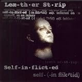 Self-Inflicted (Original Import Edition)