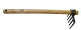 DeWit 5-Tine Eye Rake, 16-Inch [並行輸入品]