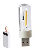 birdusunce 車用ミニ USB ライト、ミニ USB ライト | ノートパソコンのキーボードライト,ポータブルミニLEDナイトライト、ラップトップ、パワーバンク、アウトドアキャンプ用の5V小型調節可能なキャンプライト