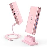 LENTION 4K@60Hz 9 in 1 縦置き USB C ドッキングステーション CB-D53s HDMI USB3.0 ギガビットイーサネット 有線LAN PD対応 最大100W 3.5mmミニジャック typec タイプc ハブDock MacBook Pro Air、iPad Pro Air、Surface Pro Goなど対応 (ローズゴールド)