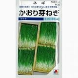ネギ 種 かおり芽葱 小袋（約1dl）