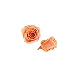 florever　フロールエバー　フレッシュルックベイビーローズ　シャーベットオレンジ　12輪　Φ2.5～3.5cm　 プリザーブドフラワー　Baby Rose　Sherbet Orange