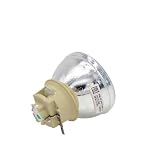 5J.JNL05.001 オリジナルプロジェクターランプ Be-nq TK700STi/W1800i/TK700ST/W1800/TK700/HT2650i プロジェクター用