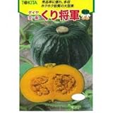 かぼちゃ 種 【 くり将軍 】 種子 500粒