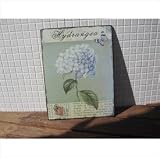 SHABBY TIN PLATE HYDRANGER 494