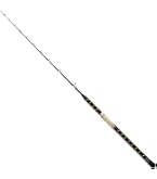 Amazon | ダイワ(DAIWA) 船竿 落とし込みX MH-240 釣り竿