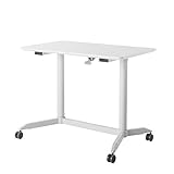 ガス昇降デスク SANWA SUPPLY ERD-GAK10060W代引不可 同梱不可 送料無料