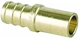 Viega PureFlowゼロリード真鍮Pexクリンプ銅継手アダプタwithオス1 / 2 " x 1 / 2 "クリンプX銅 5 Pack 5
