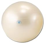 ダンノ(DANNO) バランスボール ギムニク フィットボール 直径65ｃｍ D5921