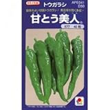 ししとう 種 【 甘とう美人 】 種子 500粒
