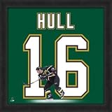 ダラス星Brett Hull 20 x 20 Framed Uniframe Jerseyフォト