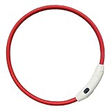PLATZ PET SUPPLISES&FUN(プラッツ)犬用首輪 散歩用品 セーフティカラー レッド 55センチメートル
