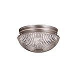 Millennium照明501 1ライトフラッシュマウント天井器具、 501-SN 1