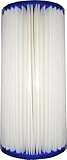 Watts Premier 202135 50-Micron Big Blue Pleated Sediment Replacement Cartridge [並行輸入品]