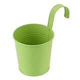 ETGtek(TM) 1PCSフラワーポット　バルコニーガーデン植物プランターホームデコレーション　チャーミングハンギング金属鉄（ランダムカラー）