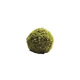 日本ビダヤコム HOMEDECO 7.5cmモスボール J0389 グリーン