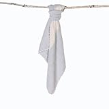 CozyChic Striped Receiving Blkt - Blue/ Cream 30x 32 [並行輸入品]