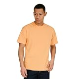 ビーフィー Tシャツ BEEFY-T 1枚組 綿100% 肉厚生地 丸胴仕様 タグレス仕様 ヘビーウェイトT H5180-820-L