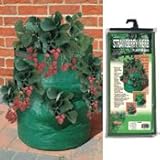 Bosmere K709ストロベリー・ハーブプランターBag-グリーン