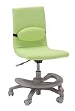 あずま工芸 【姿勢を正しく保ち、腰への負担を軽減】ジュニアデスクチェアー グリーン JDC-5863 GR
