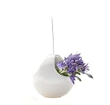 Chive Hanging Aerium Nest Vase, White [並行輸入品]