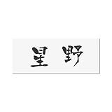 丸三タカギ 彫り込み済表札 アクリル APY2-W-1-3-星野 【完成品】