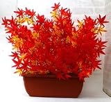 【モミジ】【モミジ造花】【モミジプランター】【装飾】fs-9950pl