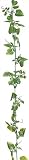 タカショー グリーンデコ　洋風ポトス　ガーランド（人工植物/観葉植物） 180cm/全長 （GG-13）