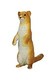 4D Stereo Toy Assembled Dinosaur Egg Toy Cute Little Animal--Weasel