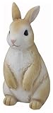 タカショー ドワーフ うさぎ A