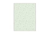 Babyletto Tranquil Woods 2-in-1 Play and Toddler Blanket by babyletto [並行輸入品]
