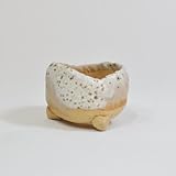 信楽焼 白ひねりミニ鉢 盆栽鉢 2号 幅5cm×高さ4cm