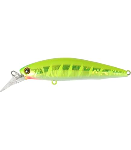 Amazon.co.jp: バスデイ(Bassday) シュガー2/3ディープSG 85F FL-339