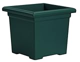High Quality ROS12500B91 Accent Square Planter, Evergreen, 12-1/2-Inch