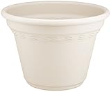 アイリスオーヤマ 鉢 コルティポット 10号 ウォームベージュ