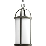 Progress Lighting P5549-20 Greetings Collection 1-Light Hanging Lantern, Antique Bronze [並行輸入品]