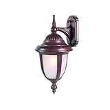 Alico Lighting 3522BW/FR Acclaim Lighting Burled Walnut Finished Outdoor Sconce with Frosted Seeded 