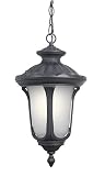 Woodbridge Lighting 61025WL-BKP Westbrook 1-Light Outdoor Pendant, Powder Coat Black [並行輸入品]