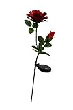 Alpine QLP104RD Solar LED Light Garden Stake, Red Rose with White [並行輸入品]