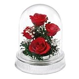 レンデフロール（Reine De Fleur） ハンドメイドドライフラワー バラ・かすみ草 G-S