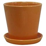 【6個入】インテリアポット(植木鉢カバー) タリーズ ラウンド型/11cm 穴有/受皿付 イエロー(黄) 〔ガーデニング用品/園芸〕