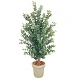 【人工植栽】　タカショー グリーンデコ鉢付 ユーカリ　1.8m　GD-148
