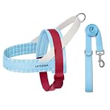 VETRESKA 犬用ハーネス＆リードセット、小型・中型犬用の簡単散歩 引っ張り防止の子犬用ハーネス首輪 散歩＆トレーニング用 調節可能 コントロールしやすい 絡まり防止のリード付き（ミスト＆マルロー、M）