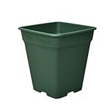 アップルウェアー ロゼアスクエア 330型 グリーン